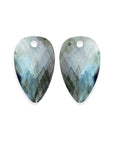 Labradorite Blossom oorbel edelstenen