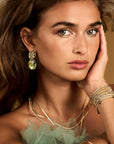 Labradorite Afterglow Fuse Push Back Oorbellen set | Goudkleurig