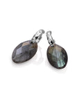 Labradorite Leaf Multi Edge Oorbellen set | Zilver
