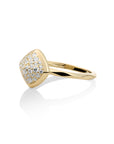 Edge Ring Zirconia | 9 karaat