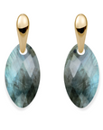 Labradorite Leaf Bold Fuse Oorbellen Set | Goudkleurig