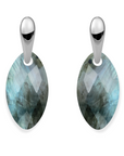 Labradorite Leaf Bold Fuse Oorbellen Set | Zilver