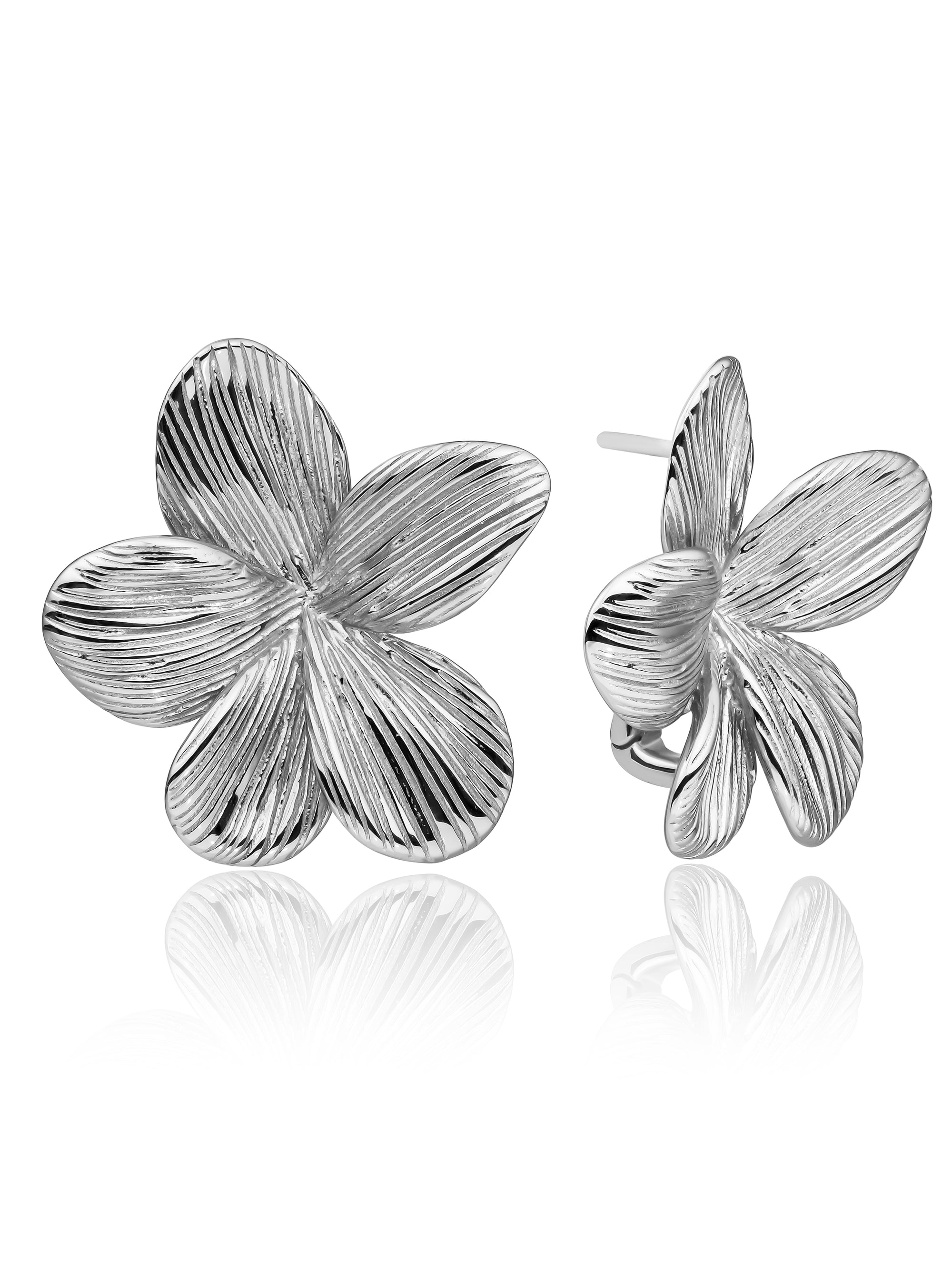 #kleur_zilver